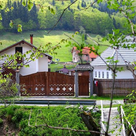 Gospodaria Lui Nea Ion Vama Buzăului Exteriör bild