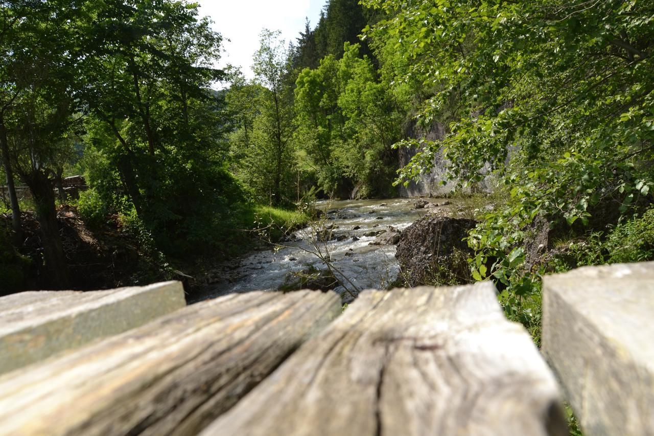 Gospodaria Lui Nea Ion Vama Buzăului Exteriör bild