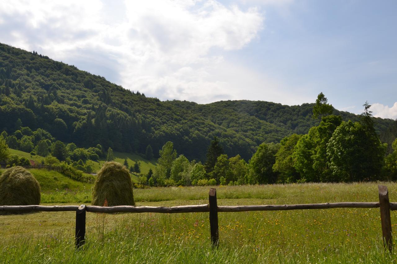 Gospodaria Lui Nea Ion Vama Buzăului Exteriör bild