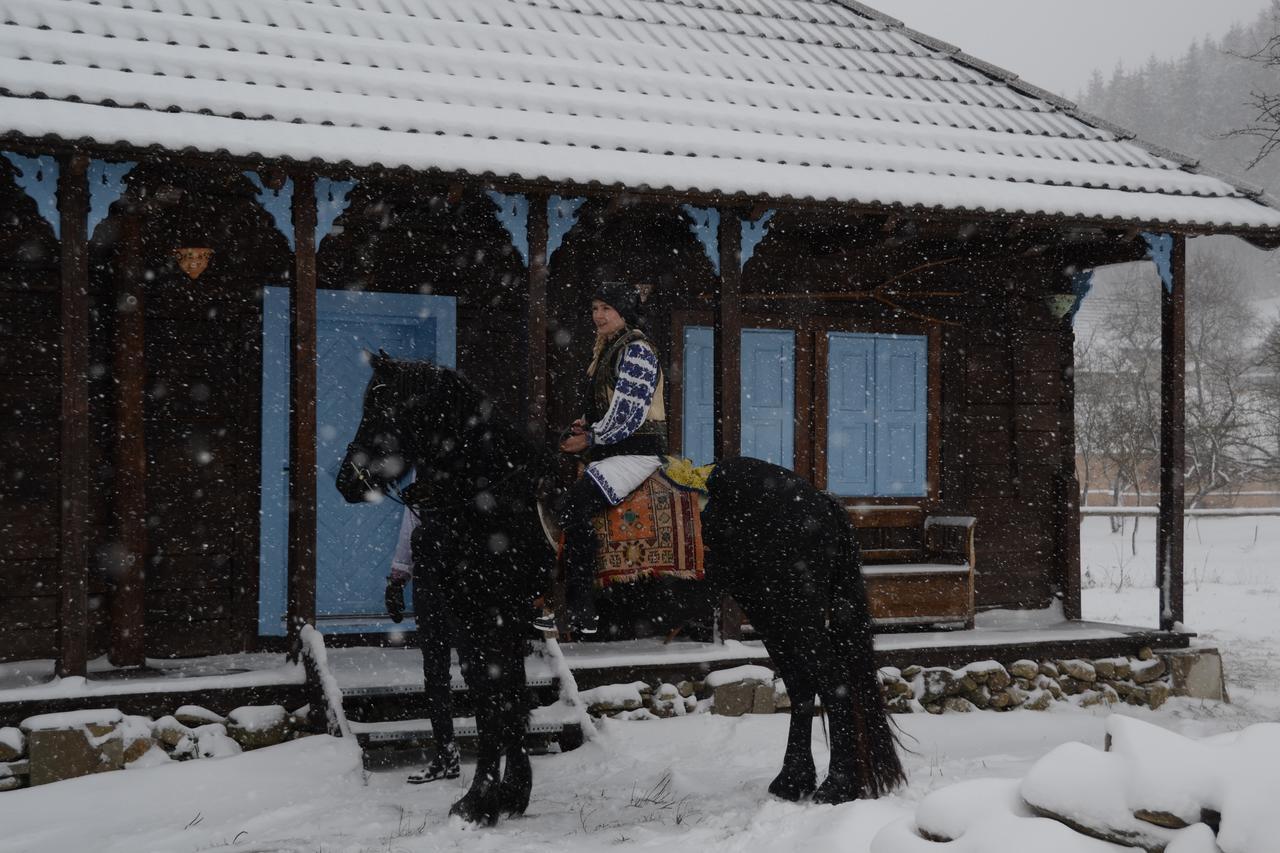 Gospodaria Lui Nea Ion Vama Buzăului Exteriör bild