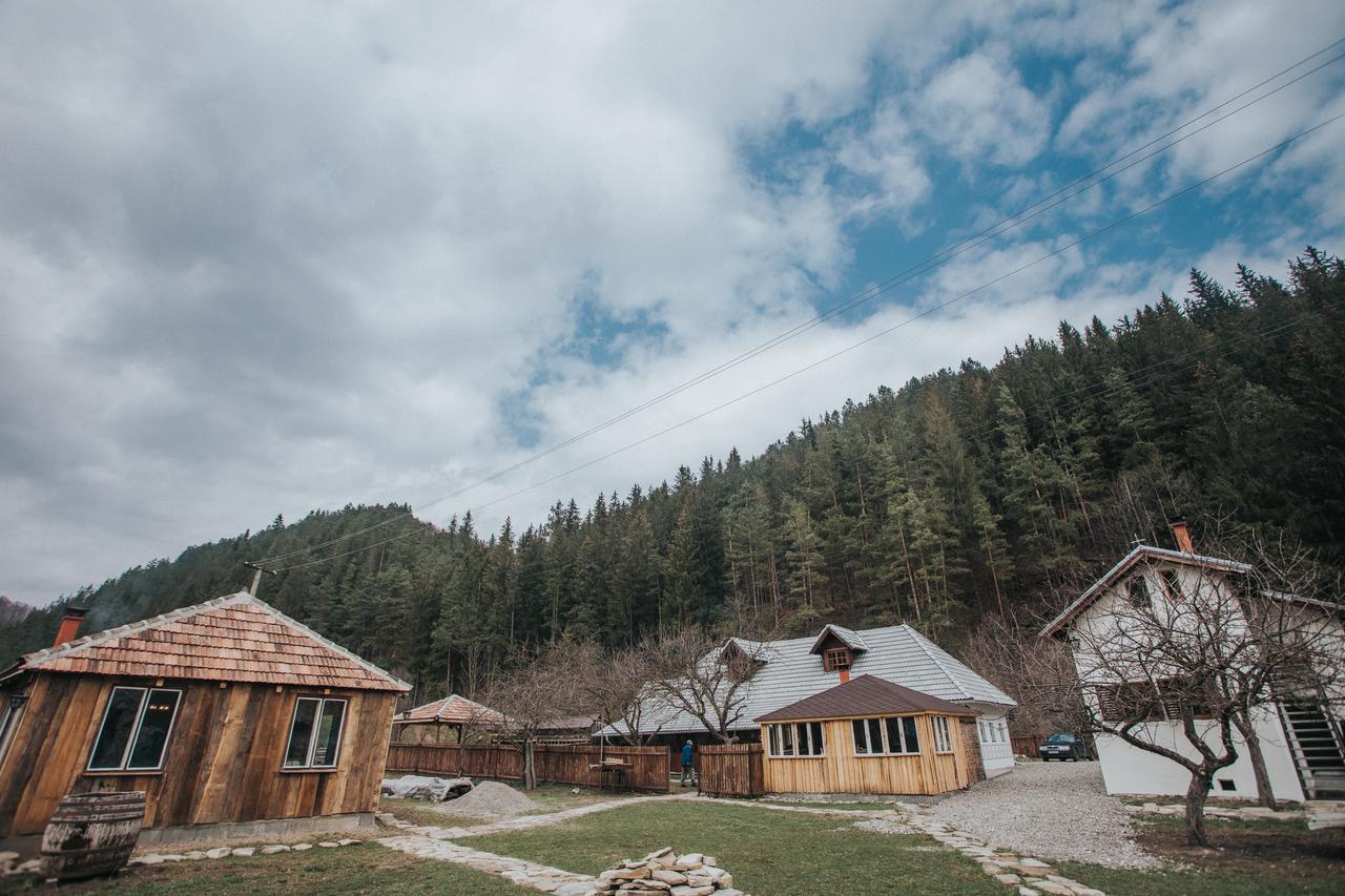 Gospodaria Lui Nea Ion Vama Buzăului Exteriör bild