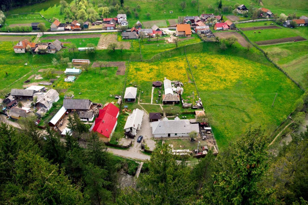 Gospodaria Lui Nea Ion Vama Buzăului Exteriör bild